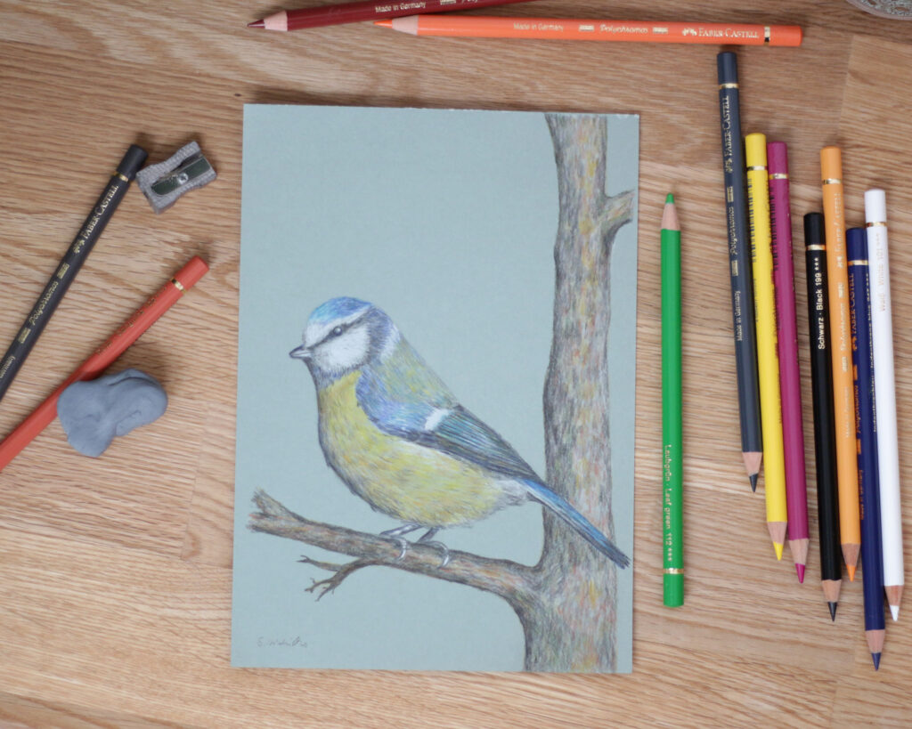 Vogelzeichnunge