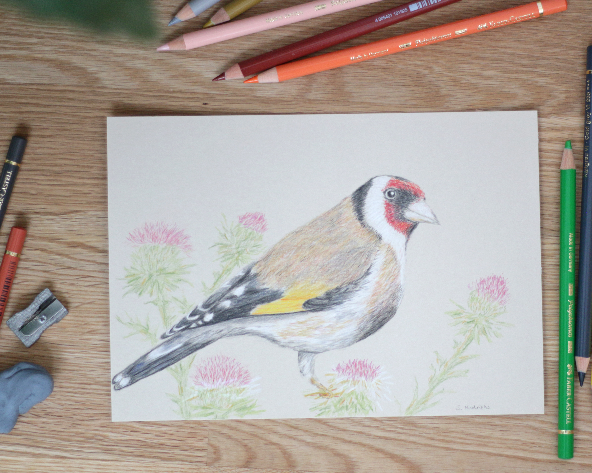 Mehr über den Artikel erfahren Vogelzeichnungen im Frühling