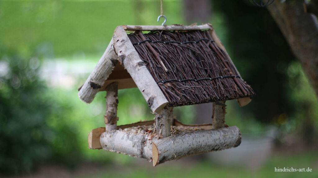 Vogelzeichnungen