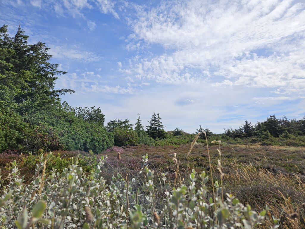 Plein Air Dänemark