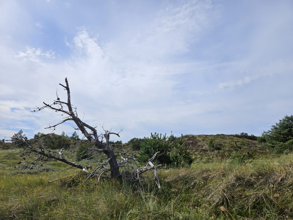 Plein Air Dänemark
