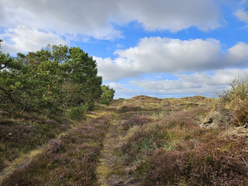Plein Air Malen in Dänemark