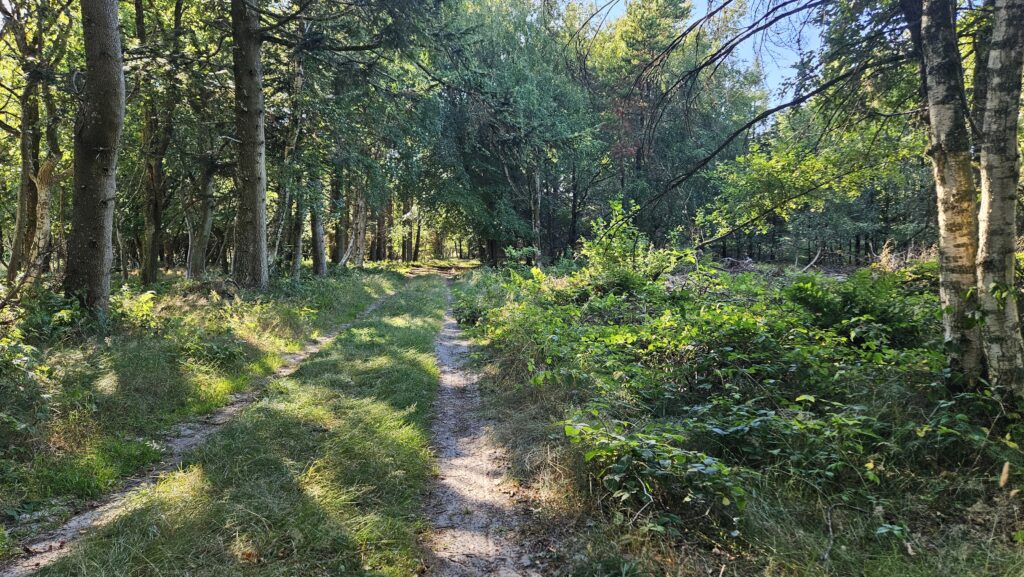 Plein Air Malen in Dänemark