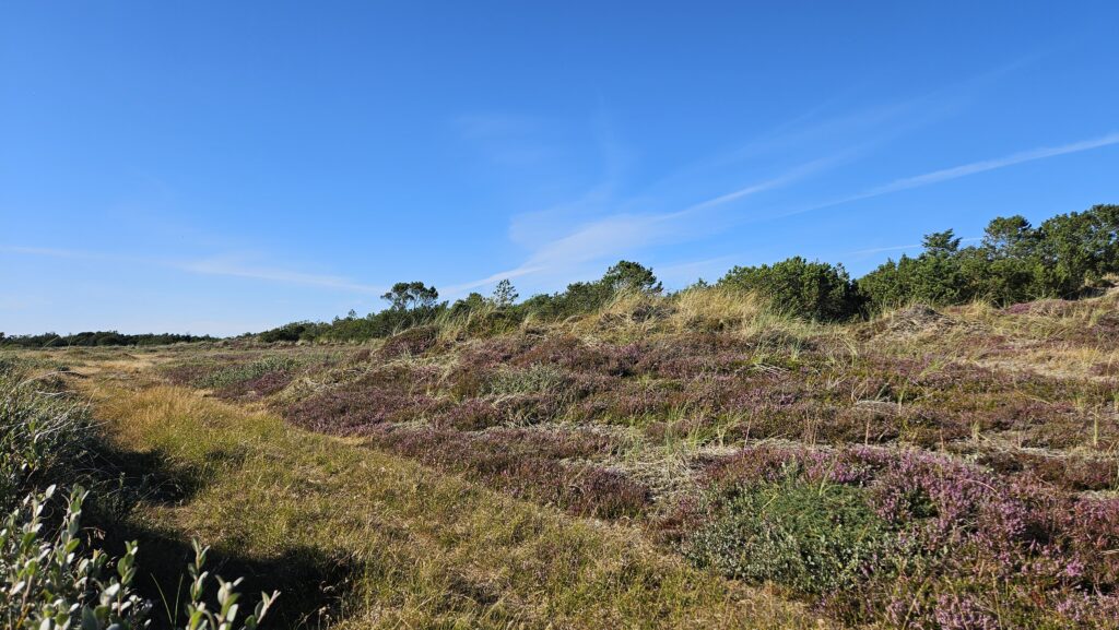 Plein Air Malen in Dänemark